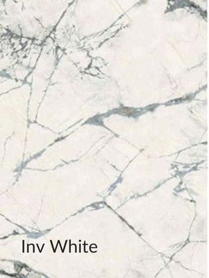 IMTR inv white