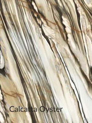 IMTR Calcatta Oyster