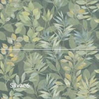 Silvae6