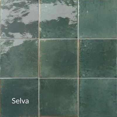 Selva
