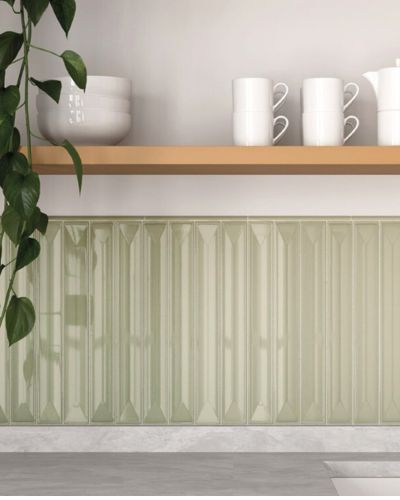 EQVI inspiration olive